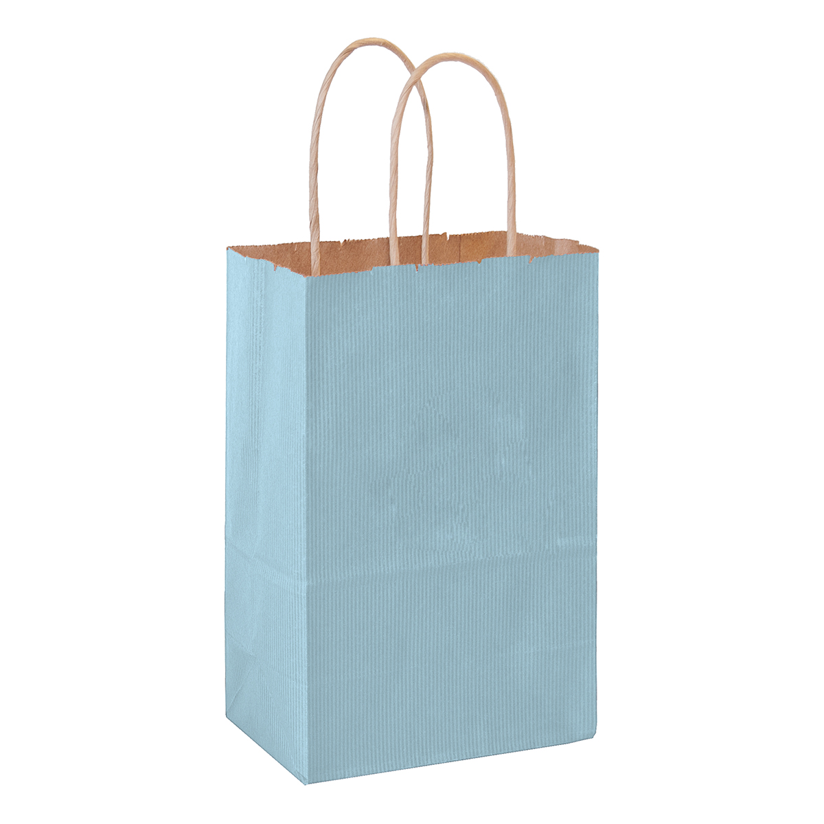 Country Blue Matte Color Twisted Paper Handle Shopper