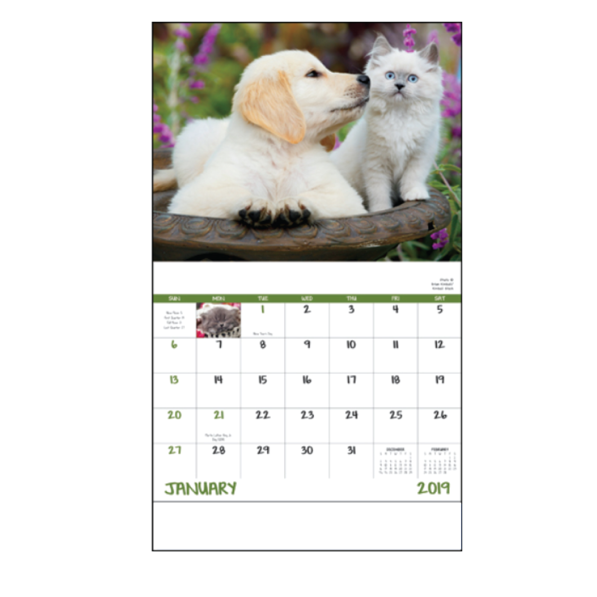 Full Color Process 1 Location Puppy & Kitty Calendar