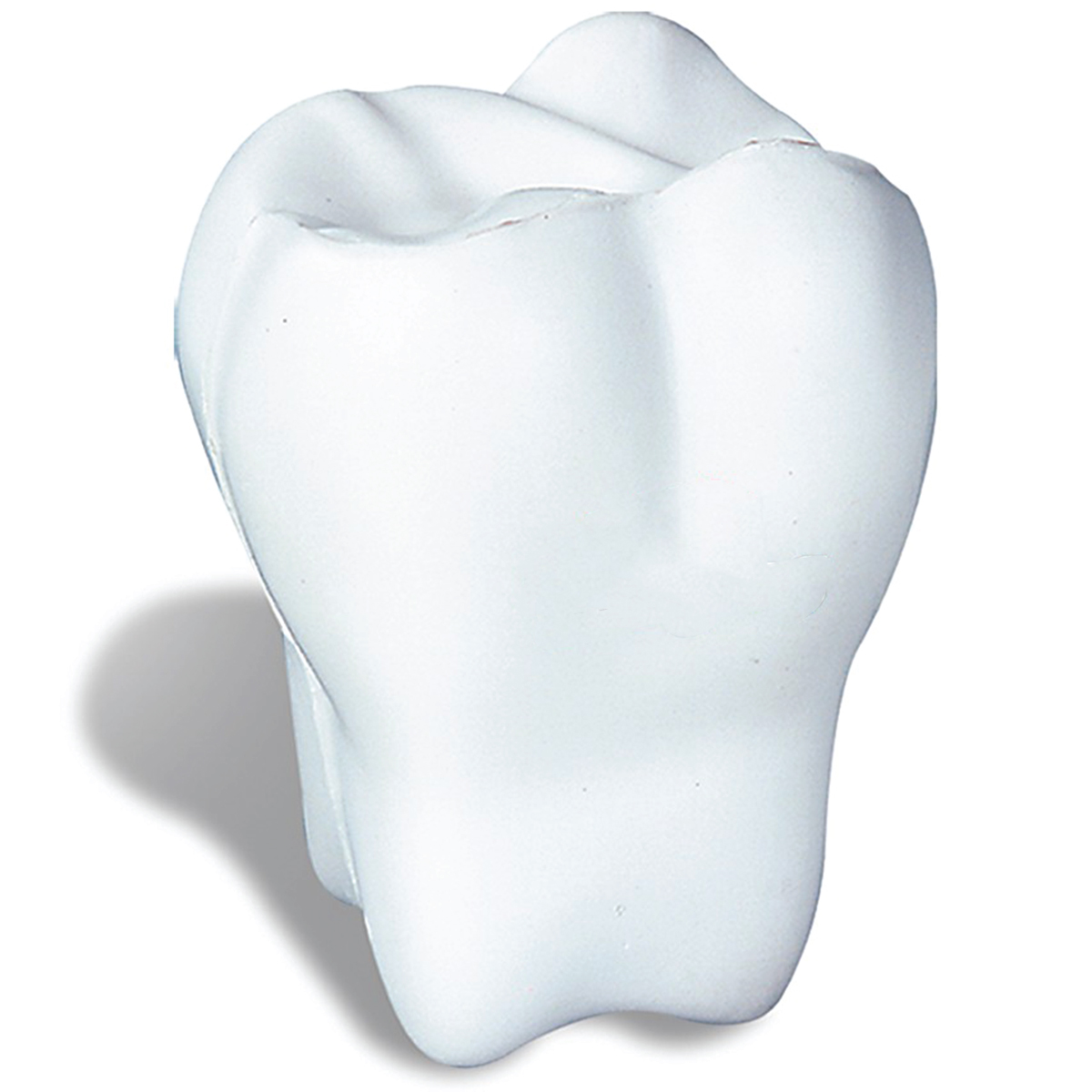 White White Tooth Stress Reliever 