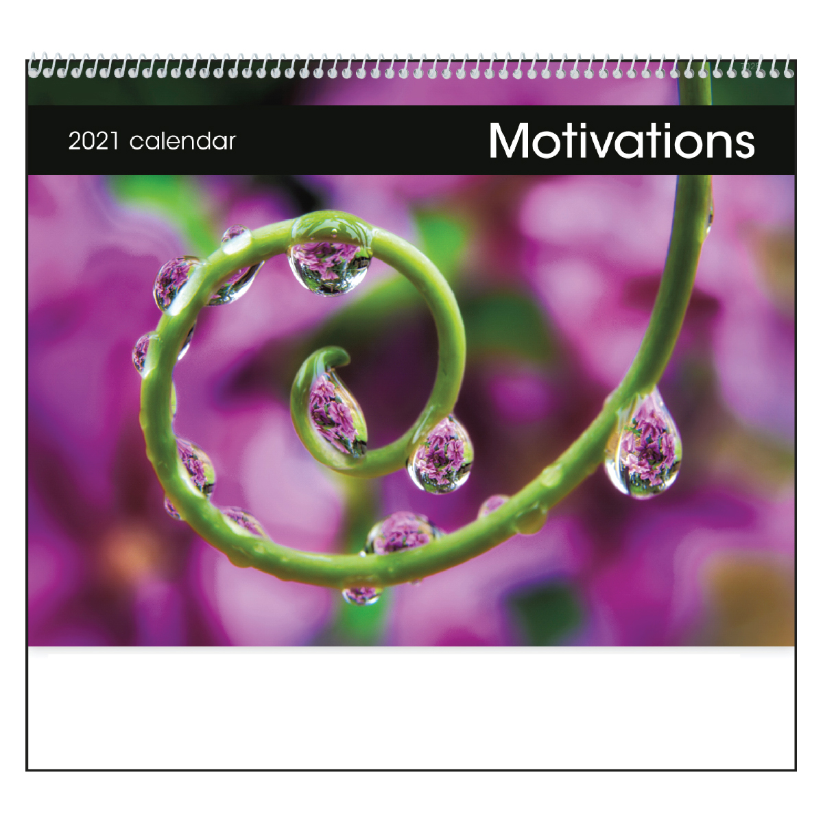 White Good Value® Motivations Calendar