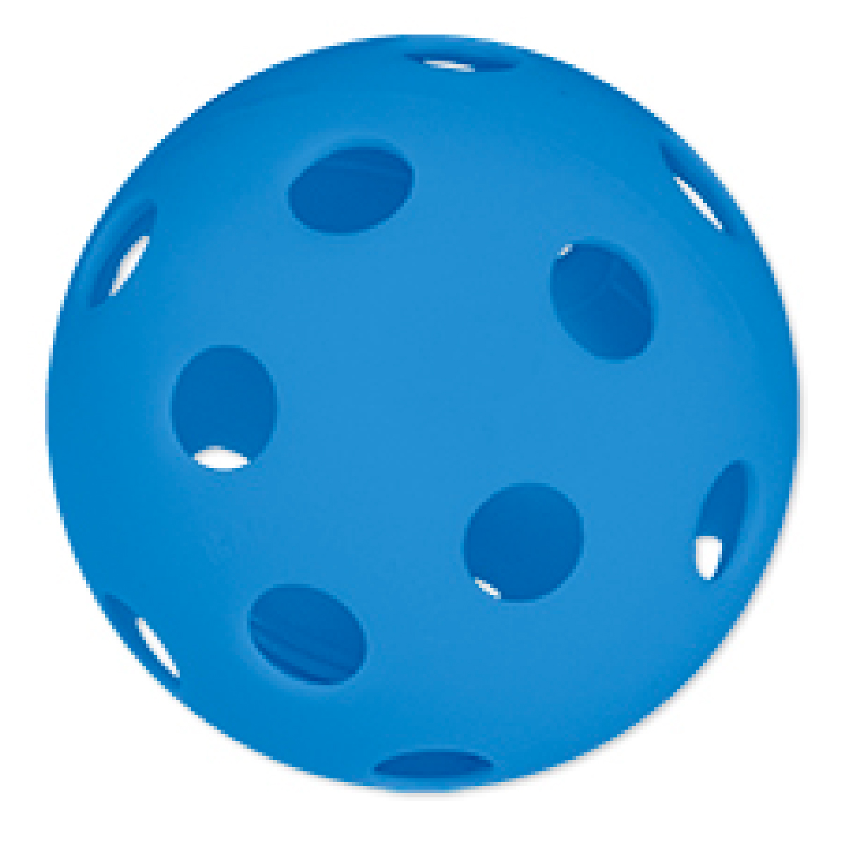 Blue 26 Hole Indoor Pickleball