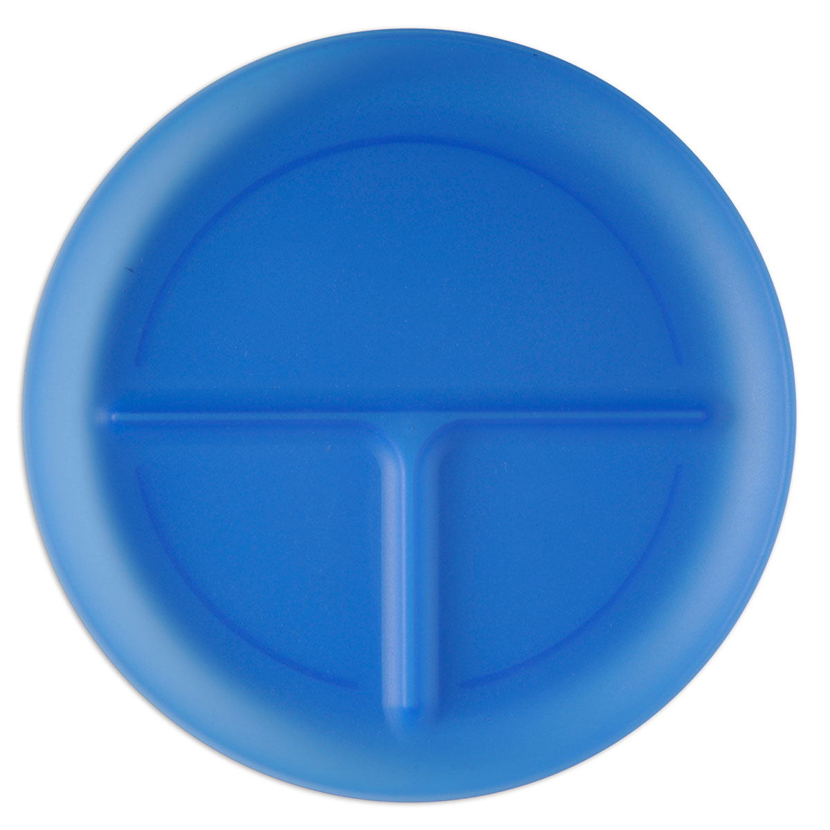 Translucent Blue Portion Plate